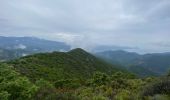 Tour Wandern Manso - Corse 2023: Tuvarelli - Sierrera - Photo 2