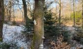 Tour Wandern Libramont-Chevigny - Marche ADEPS à Séviscourt. - Photo 13