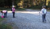 Trail Nordic walking Ger - MM2 camp deGer - Photo 1