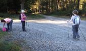 Tocht Noords wandelen Ger - MM2 camp deGer - Photo 1