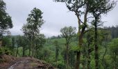 Tocht Stappen Vresse-sur-Semois - rando vresse sur semois 2-06-2024 - Photo 15