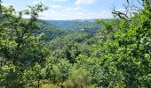 Trail Walking Houffalize - Engreux 190625 - Photo 18