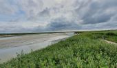 Randonnée Marche Saint-Valery-sur-Somme - Traversée Baie de Somme - St Valery - Le Crotoy - Photo 5