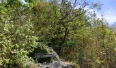 Tour Zu Fuß Wiesenttal - Rund um den Schwingbogen - Photo 2