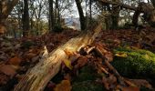 Tour Wandern La Roche-en-Ardenne - La roche dans tous les sens - Photo 10