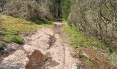 Trail  Iffendic - Étang de tremplin - Photo 6