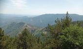 Trail Walking Val-d'Aigoual - 4000 marches-14-06-22 - Photo 8