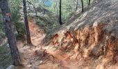 Excursión Senderismo Rustrel - visite et tour du Colorado Provençal  - Photo 3