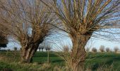 Trail On foot Poperinge - Zevekotepad Reningelst - Photo 2