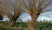 Tocht Te voet Poperinge - Zevekotepad Reningelst - Photo 2