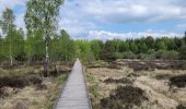 Trail Walking Vielsalm - rando ornitho fagnes de sacrawé petite taille 20-05-20023 - Photo 4