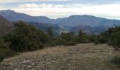 Trail Walking Brantes - petit brantes - Photo 6