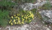 Tour Wandern Collias - Collias nd de Laval grottes et la torte - Photo 1