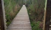 Randonnée Vélo de route Arcachon - Les 7 Ports de Gujan-Mestras 10.4.23 - Photo 13