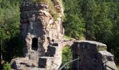 Excursión Senderismo Lembach - Niedersteinbach-Froensbourg - Photo 1