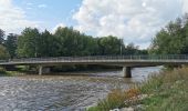 Randonnée A pied Rudolstadt - Natur-Lehrpfad 