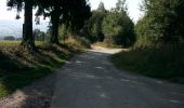 Trail On foot Vielsalm - Vielsalm rouge - Photo 5