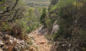 Trail Walking Cabasse - Autour de Cabasse - Photo 5