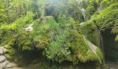 Trail Walking Roquefort-les-Cascades - Roquefixade Alain G - Photo 2