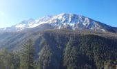 Trail Walking Colmars - lac Encombrette 7-04-2023 - Photo 9