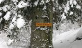 Tour Skiwanderen Mittlach - Rando Mittlach - Photo 1