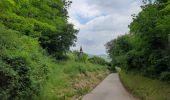 Tour Wandern Reichenweier - De Riquewihr à Hunawihr  - Photo 3