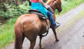 Trail Horseback riding Vacqueville - vacqueville chez Heidi bertrichamp  - Photo 9