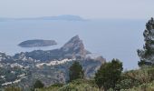 Tocht Stappen La Ciotat - soubeyrannes  aller retour - Photo 19