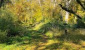 Randonnée Marche Compiègne - en forêt de Compiègne_43_le Petit Octogone et vers la Faisanderie - Photo 16