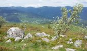 Trail Walking Sondernach - mp sondernach 2019 - Photo 5