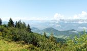 Tour Wandern Crêts-en-Belledonne - Refuge du Crêt du Poulet- Grand Rocher - Photo 15