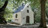 Trail Walking Beersel - RL-GG-24 - Beersel - Hennuyères - 2025-05-19 - Photo 1