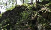 Trail Walking Bouillon - Rochehaut - Les Échelles  - Photo 12