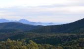Trail Walking Roquebrune-sur-Argens - Col du Bougnon - Peigros - Photo 1