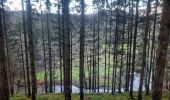 Trail Walking Libin - laisse la lesse  - Photo 12