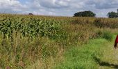 Randonnée Marche Merksplas - Vossenbergwandeling - Photo 2