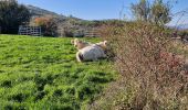 Trail Walking Saint-Bauzile - St-Bauzile Trail Walking Saint-Bauzile - St-Bauzile