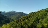Trail Walking Capoulet-et-Junac - Le Vicdessos par Illié - Photo 15