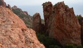 Trail Walking Saint-Raphaël - Agay - Rastel d'Agay - Drapeau - Pic du Cap Roux - Photo 7