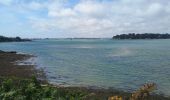 Tour Wandern Arzon - Port Navallo - Photo 3