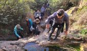 Tour Wandern Le Muy - La Combe Renaude et le Pic Rébéquier - Photo 2