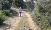 Tocht Stappen Cheval-Blanc - PF-Cheval-Blanc - Autour de Saint Phalez - Photo 5