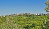 Tour Zu Fuß Belforte Monferrato - Belforte Monferrato - Monte Colma - Photo 5