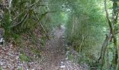 Excursión Senderismo Châtillon-en-Diois - Circuit des Baumes - Pont de vachères-Soubreroche - Boulc - Photo 16