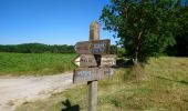 Trail Walking Veigné - Veigné - boucles via GR46A - 19.9km 210m 4h20 - 2020 05 29 - Photo 5