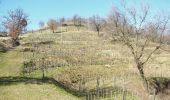 Randonnée A pied Cormòns - (SI A21) Cormons - Gradisca d'Isonzo - Photo 8