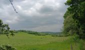 Trail Walking Anthisnes - La Rock . bois de Comblain . Sparmont - Photo 9