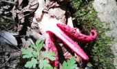 Trail Walking Vernusse - meclier a/r par moulin berth - Photo 1