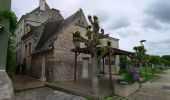 Tour Wandern Chouzé-sur-Loire - Chouzé-sur-Loire - PRs Varennes-sur-Loire - 23.9km 130m 5h35 (40mn) - 2023 05 08 - Photo 10