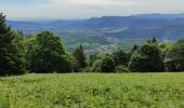 Tour Wandern Hohwald - Le Hohwald Champs du Feu  - Photo 1